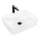 REA-U0669 - Lavabo da appoggio ANITA 37,5x48,5 cm ceramica/bianco lucido