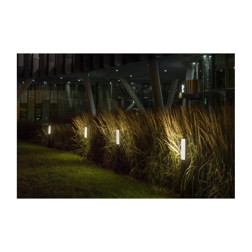 RED - Design Rendl - R10548 - Lampada da esterno a LED  VADIS LED/8W/230V IP54