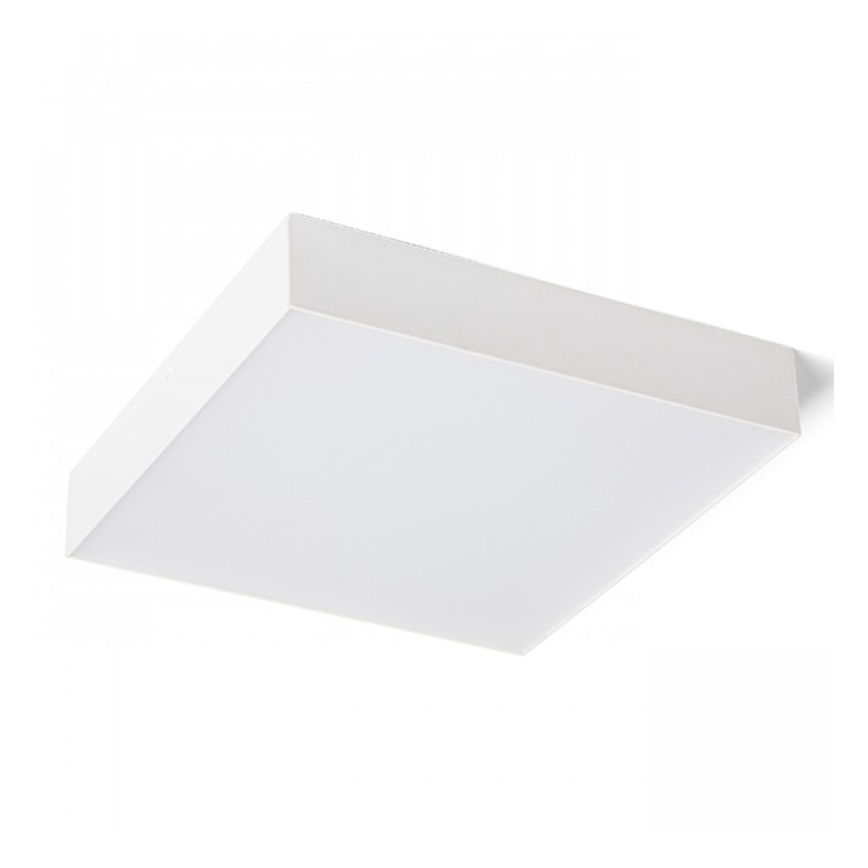 RED - Design Rendl - R12850 - Applique murale LARISA LED/30W/230V blanche