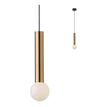 Redo 01-1660 - Lampadario a sospensione con filo GOSSIP 1xE27/42W/230V