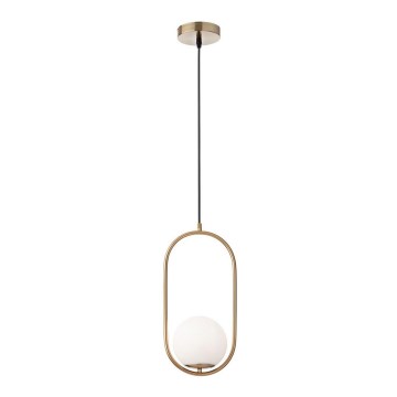 Redo 01-2624 - Suspension filaire NIVA 1xE14/28W/230V