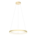 Redo 01-2673 - Lampadario a sospensione con filo LED dimmerabile ICONIC LED/50W/230V diametro 58 cm oro