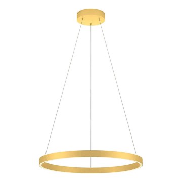 Redo 01-2865 - LED-dimmbare Seilpendelleuchte FEBE LED/37W/230V goldfarben