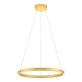 Redo 01-2865 - Suspension filaire à intensité variable FEBE LED/37W/230V doré