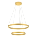 Redo 01-2889 - Lampadario a sospensione con filo LED dimmerabile FEBE LED/62W/230V oro