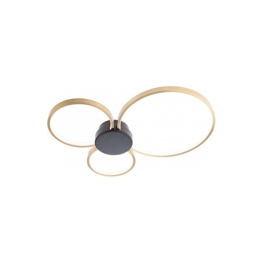 Redo 01-3105 - LED-Deckenleuchte ATOM LED/20W/230V