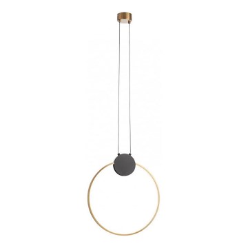 Redo 01-3106 - Lampadario LED a sospensione con filo ATOM LED/11W/230V diametro 40 cm