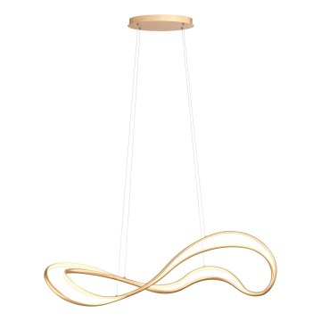 Redo 01-3598 - LED Lampadario dimmerabile a cavo TEMPEST LED/58W/230V oro