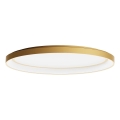 Redo 01-3807 - Plafoniera LED dimmerabile NOBU LED/60W/230V 3000/4000K CRI 90 dorata