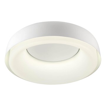 Redo 01-3940 - Plafonnier LED DIP, 30 W, 230 V, 2700/3000/4000/5000/6500 K, IRC 90, Ø 48,6 cm, blanc