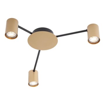 Redo 01-4049 - Strahler NOA 3xGU10/10W/230V golden