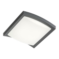 Redo 90007 - Plafonnier extérieur TALLIN LED/21W/230V 24,5x24,5 cm IP54 anthracite