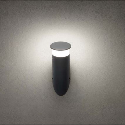 Redo 90073 - Applique murale extérieure LED RGBW ALGON LED/6W/230V Wi-Fi Tuya IP65 anthracite