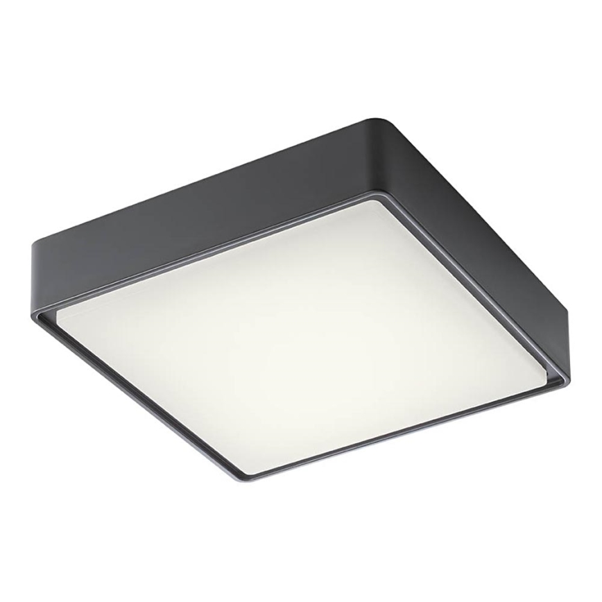 Redo 90157 - Plafoniera LED da esterno MARINA LED/12W/230V 22x22 cm IP65 antracite