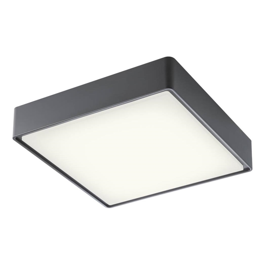 Redo 90158 - Plafoniera LED da esterno MARINA LED/16W/230V 29,6x29,6 cm IP65 antracite