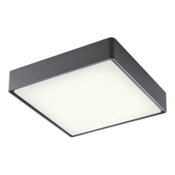 Redo 90158 - Plafonnier extérieur MARINA LED/16W/230V 29,6x29,6 cm IP65 anthracite
