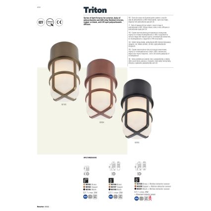 Redo 90198 - Applique murale d'extérieur TRITON 1xE27/28W/230V IP54 noir