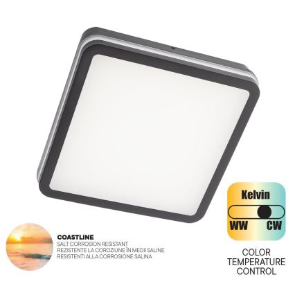 Redo 90288 - Plafoniera LED da esterno ISOLA LED/24W/230V 26x26 cm 3000/4000/6500K IP54 antracite