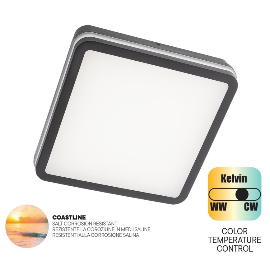Redo 90288 - Plafonnier extérieur ISOLA LED/24W/230V 26x26 cm 3000/4000/6500K IP54 anthracite