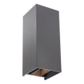 Redo 90636 - Applique murale extérieure SONNY 2xLED/5W/230V 2200/3000/4000K IP54 anthracite