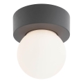 Redo 90641 - Plafoniera da esterno BULK 1xE27/28W/230V IP44 antracite