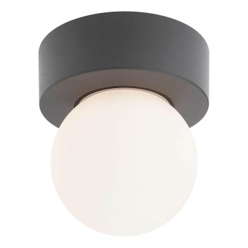 Redo 90641 - Plafoniera da esterno BULK 1xE27/28W/230V IP44 antracite