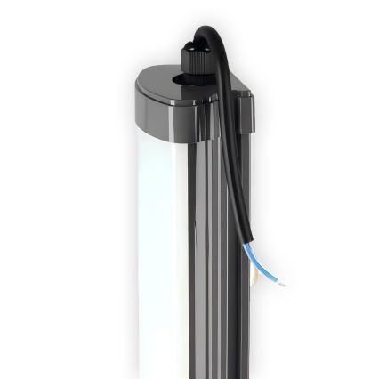 Réglette de cuisine LED/60W/230V 6000K 120 cm IP65 noir