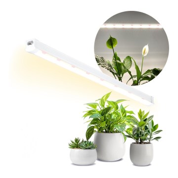 Réglette de cuisine pour la culture des plantes GROWLY LED/15W/230W