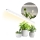 Réglette de cuisine pour la culture des plantes GROWLY LED/15W/230W