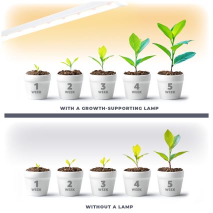 Réglette de cuisine pour la culture des plantes GROWLY LED/15W/230W