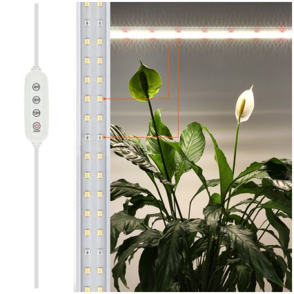 Réglette de cuisine pour la culture des plantes GROWLY LED/15W/230W