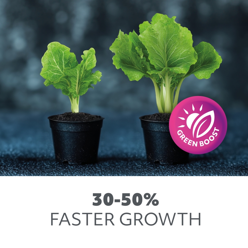 Réglette de cuisine pour la culture des plantes GROWLY LED/15W/230W