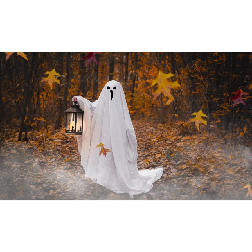 Décoration HALLOWEEN LED/3xAAA/blanc chaud lanterne