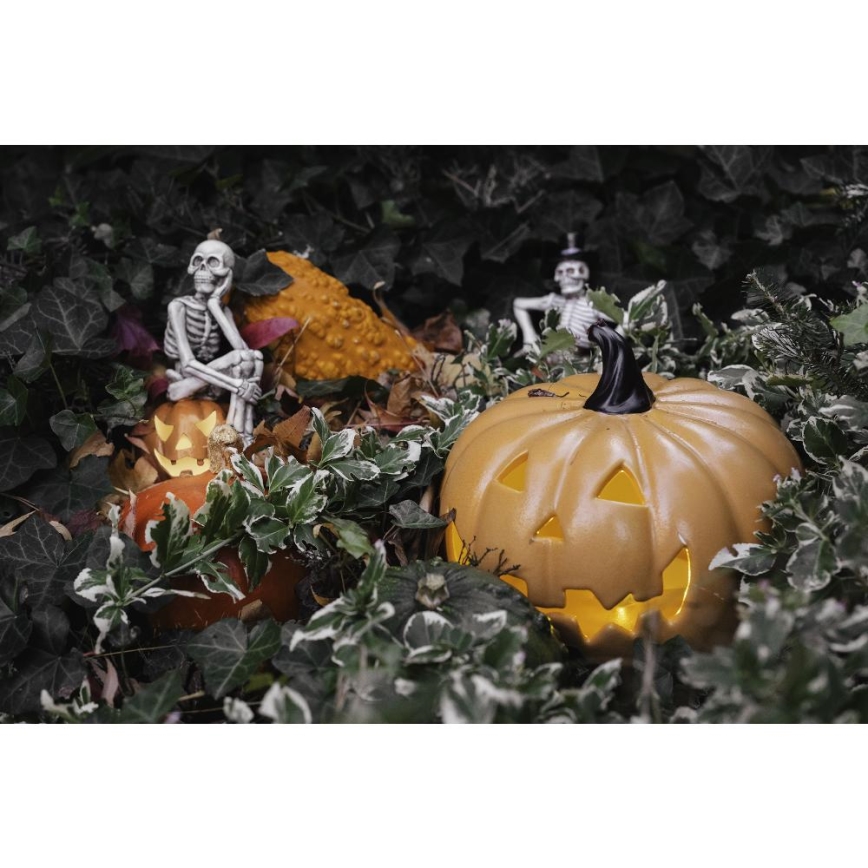 LED Decorazione HALLOWEEN LED/2xLR44/bianco caldo scheletro in una zucca resina