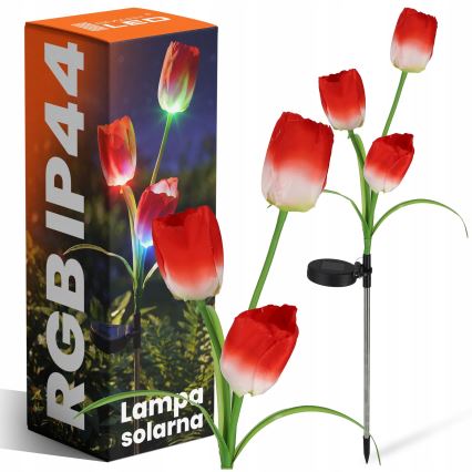 RGB-LED Solar-Dekorationsleuchte 3xLED/3,7V 200 mAh IP44 Tulpe
