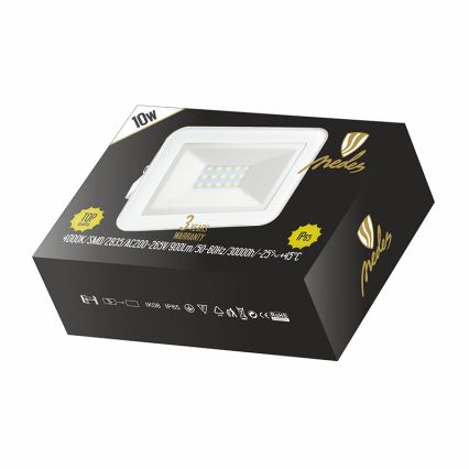 Nedes LF2121 - Riflettore LED/10W/230V IP65