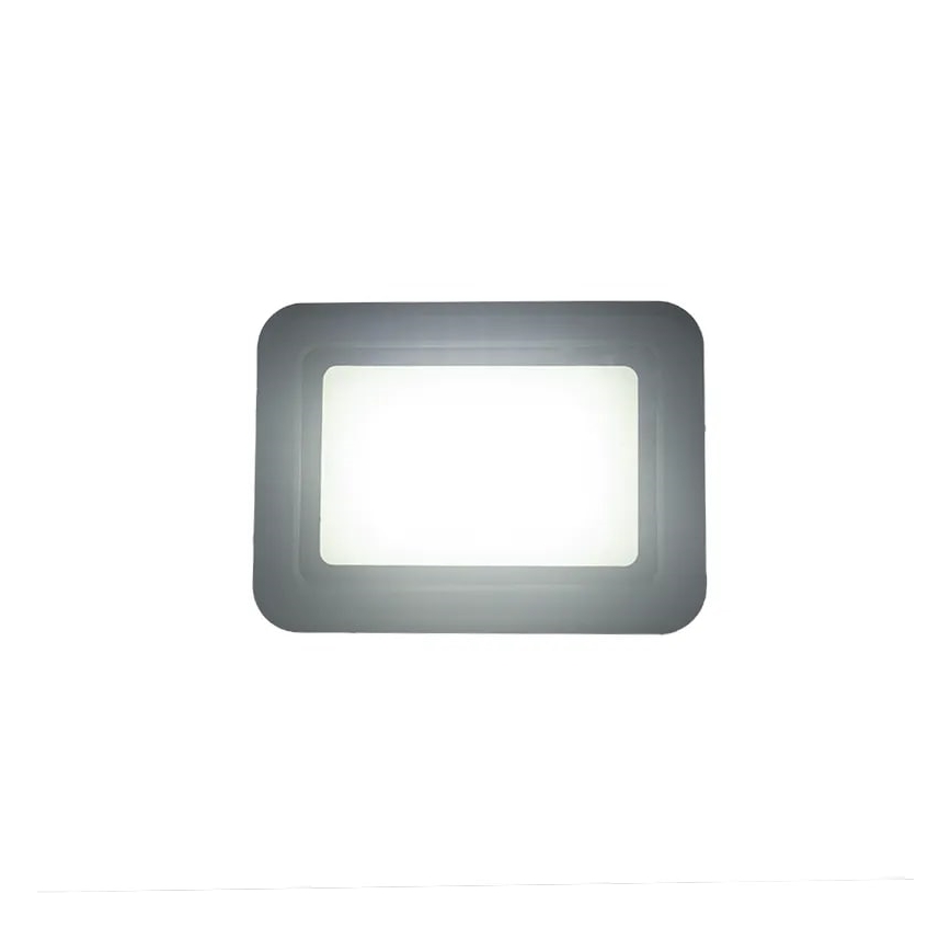 Riflettore LED LED/30W/230V 4000K IP65