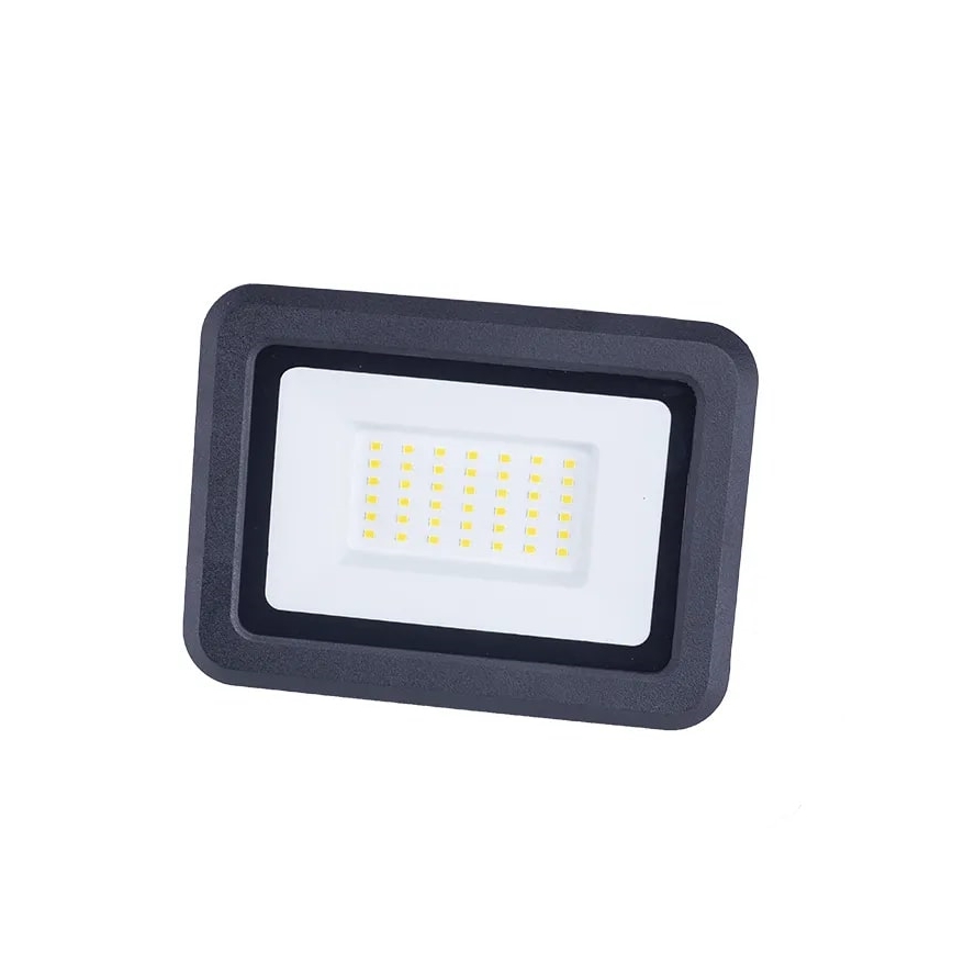Riflettore LED LED/30W/230V 4000K IP65