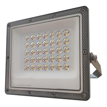 Riflettore LED LED/30W/230V IP65 3000/4000/6500K