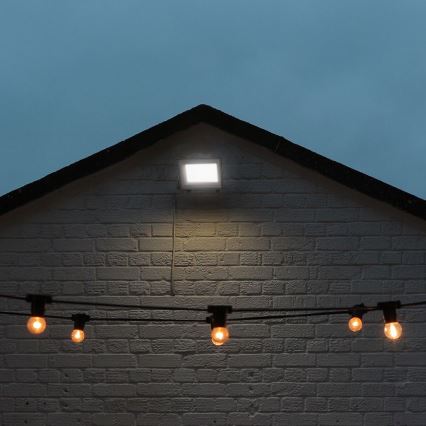 Riflettore LED LED/30W/230V IP65 3000/4000/6500K