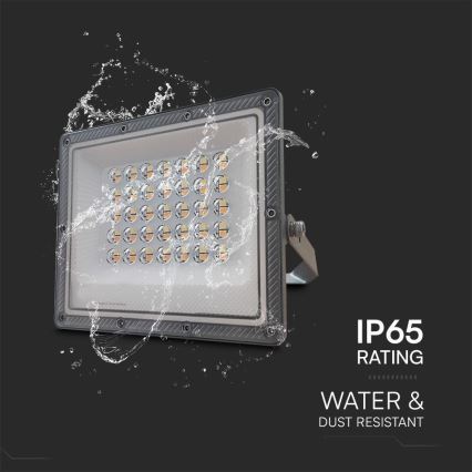 Riflettore LED LED/30W/230V IP65 3000/4000/6500K