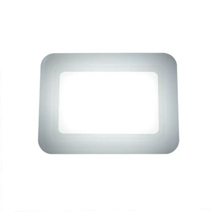 Riflettore LED LED/50W/230V 4000K IP65