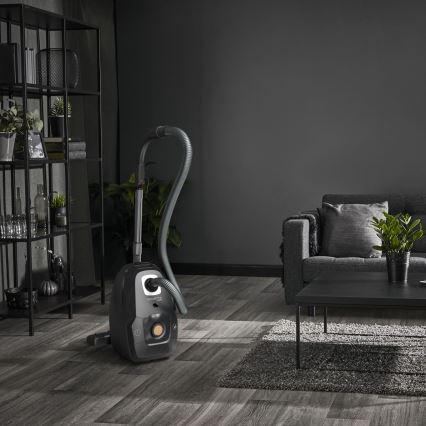 Rowenta - Beutel-Staubsauger GRÜN FORCE EFFITECH ECO TOTAL CLEAN 400W/230V schwarz