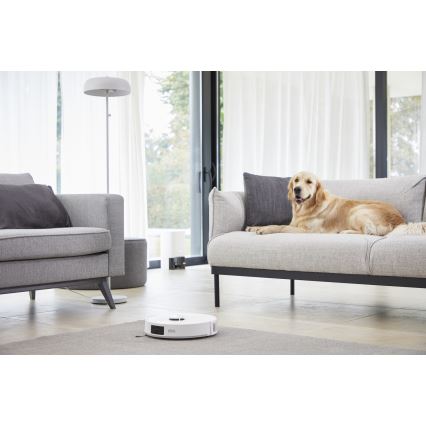 Rowenta - Robot aspirapolvere X-PLORER ANIMAL DETECT 40 W/32,4 V 2600 mAh