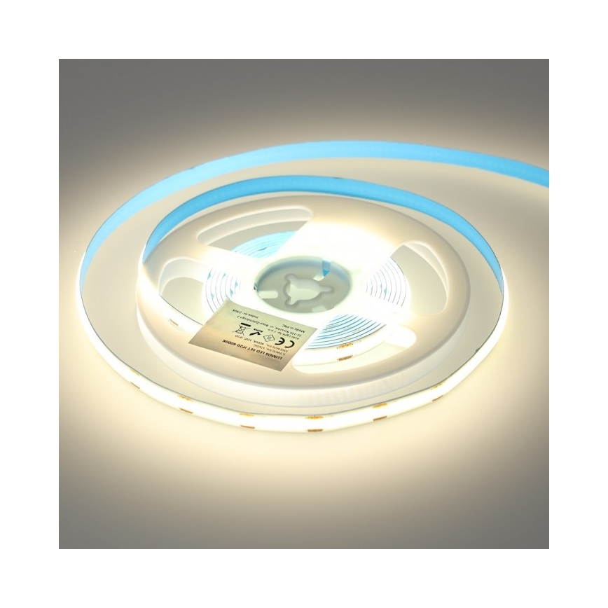 Ruban à intensité variable LED/25W/230V 3 m 4000 K