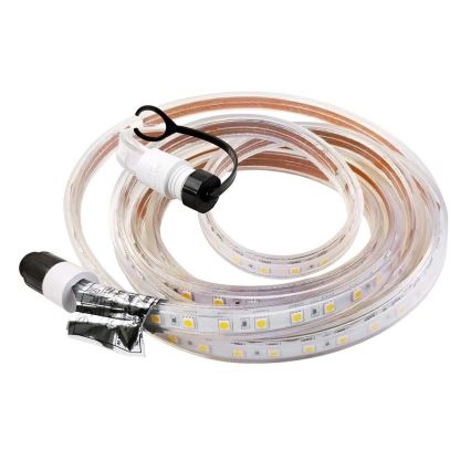 Ruban EASY CONNECT LED/14,4W/230V 3m IP67 blanc froid
