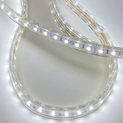 Ruban EASY CONNECT LED/14,4W/230V 3m IP67 blanc froid