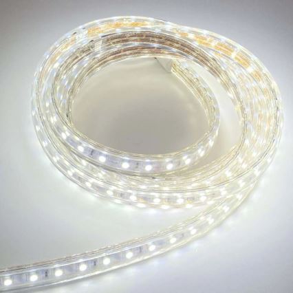 Ruban EASY CONNECT LED/14,4W/230V 3m IP67 blanc froid