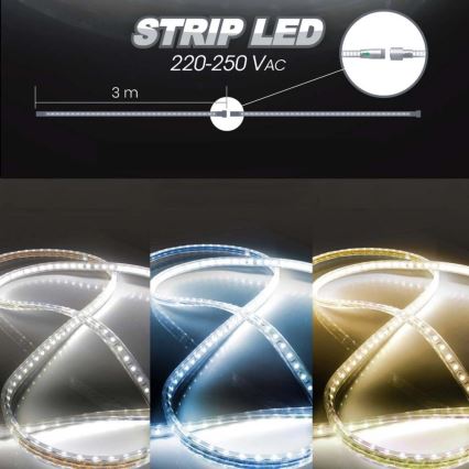 Ruban EASY CONNECT LED/14,4W/230V 3m IP67 blanc froid