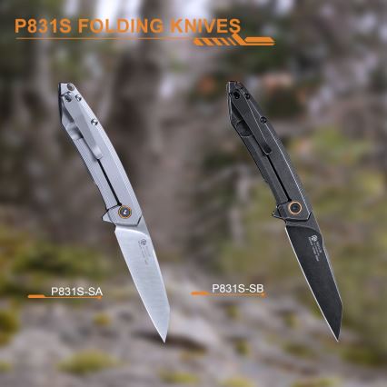Ruike RUP831SSB - Folding compact Messer 19,5 cm schwarz